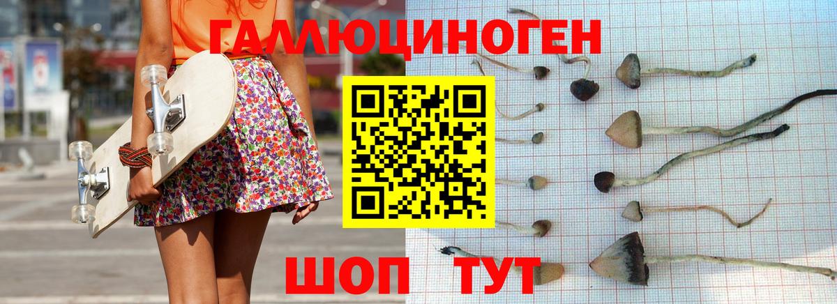 Сухой Лог  Псилоцибиновые грибы GOLDEN TEACHER  купить  сайты  Вход с VPN 
