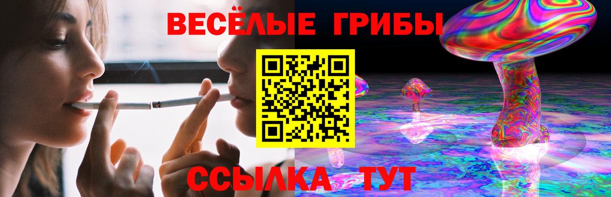 Галлюциногенные грибы GOLDEN TEACHER Сухой Лог